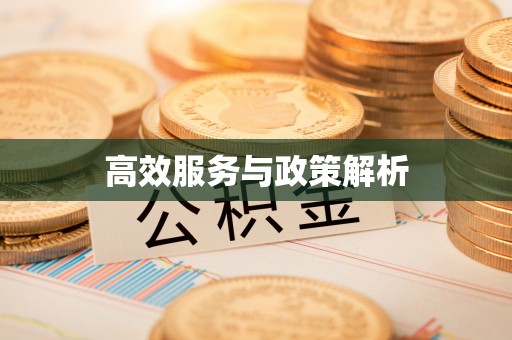 富阳高效服务与政策解析