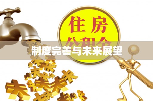 富阳制度完善与未来展望